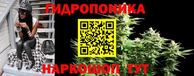 эйфоретик Новокубанск