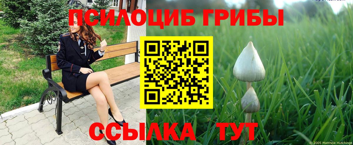 Галлюциногенные грибы Psilocybine cubensis  Псилоцибиновые грибы Cubensis  Нягань  Вход с VPN 
